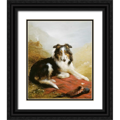 A Collie, The Guardian of The Flock Black Ornate Wood Framed Art Print with Double Matting by Douglas, Edwin