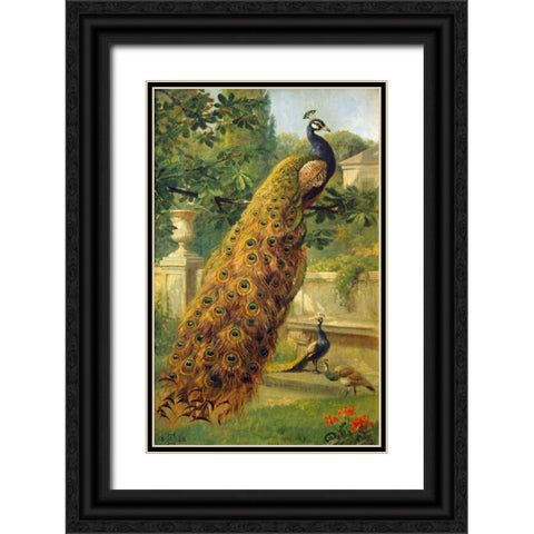 Peacocks In The Park Black Ornate Wood Framed Art Print with Double Matting by Hermansen, Olaf August