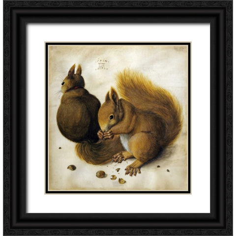 Two Squirrels, One Eating a Hazelnut Black Ornate Wood Framed Art Print with Double Matting by Durer, Albrecht