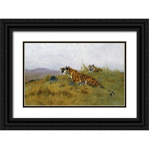 Tigers Stalking Their Prey Black Ornate Wood Framed Art Print with Double Matting by Kuhnert, Wilhelm