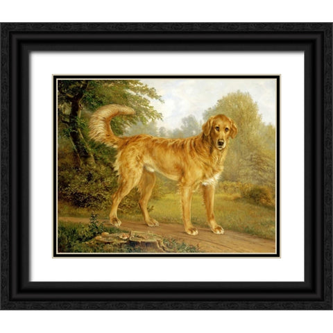 A Golden Retriever On a Path Black Ornate Wood Framed Art Print with Double Matting by Lytzen, Niels Aagaard