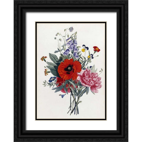 Collection Des Fleurs Et Des Fruits Black Ornate Wood Framed Art Print with Double Matting by Prevost, Jean-Louis