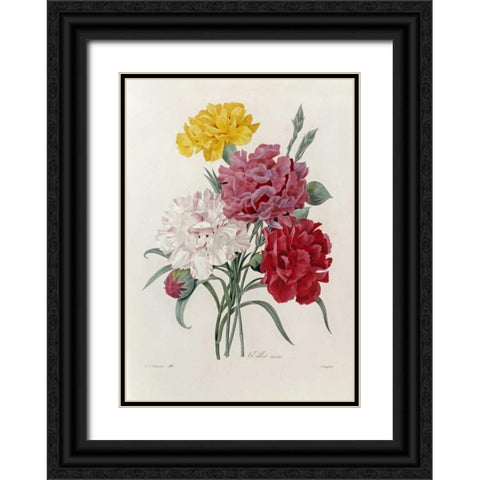 Carnations Black Ornate Wood Framed Art Print with Double Matting by Redoute, Pierre Joseph