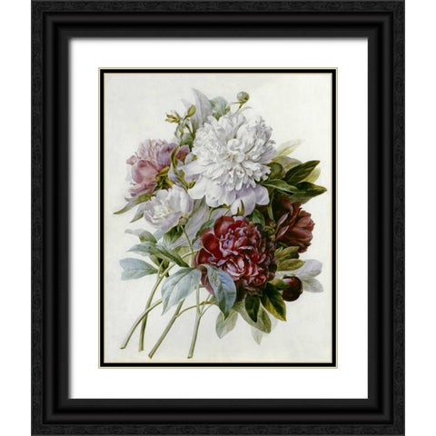 A Bouquet of Red, Pink and White Peonies Black Ornate Wood Framed Art Print with Double Matting by Redoute, Pierre Joseph
