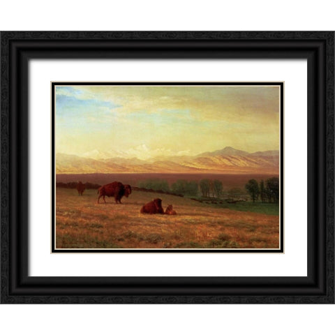 Buffalo on The Plains Black Ornate Wood Framed Art Print with Double Matting by Bierstadt, Albert
