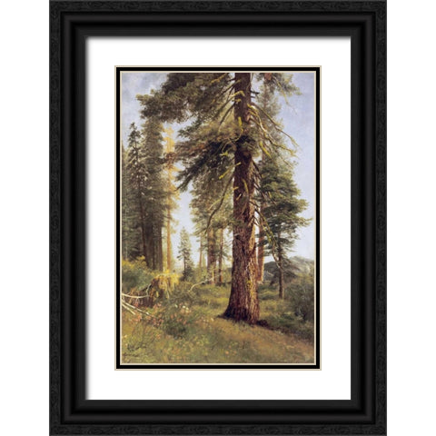 California Redwoods Black Ornate Wood Framed Art Print with Double Matting by Bierstadt, Albert