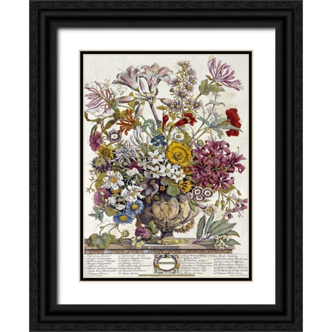 October - Twelve Months of Flowers Black Ornate Wood Framed Art Print with Double Matting by Furber, Robert