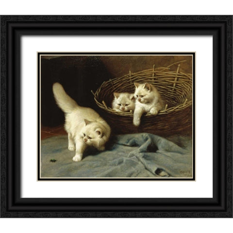 White Angora Kittens With a Beetle Black Ornate Wood Framed Art Print with Double Matting by Heyer, Arthur