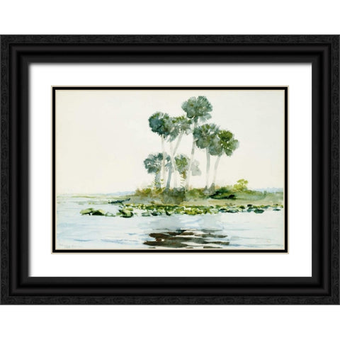 St. Johns River, Florida Black Ornate Wood Framed Art Print with Double Matting by Homer, Winslow