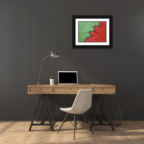 Complementarios Black Ornate Wood Framed Art Print with Double Matting by Bertani, Ernesto