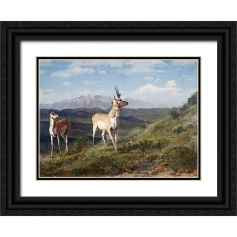 Antelope Black Ornate Wood Framed Art Print with Double Matting by Bierstadt, Albert