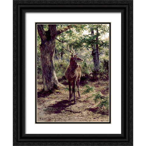 Stag On Alert, In Wooded Clearing Black Ornate Wood Framed Art Print with Double Matting by Bonheur, Rosa