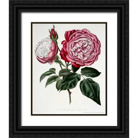 China, Archduke Charles Black Ornate Wood Framed Art Print with Double Matting by Curtis, Henry