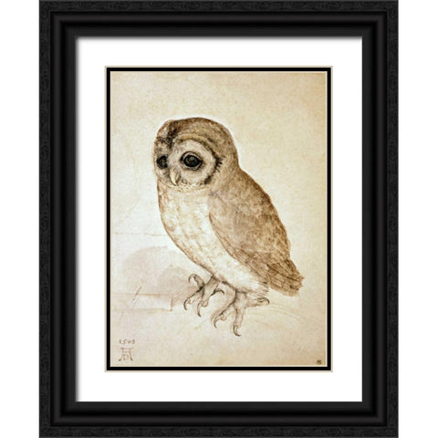 Screech Owl Black Ornate Wood Framed Art Print with Double Matting by Durer, Albrecht