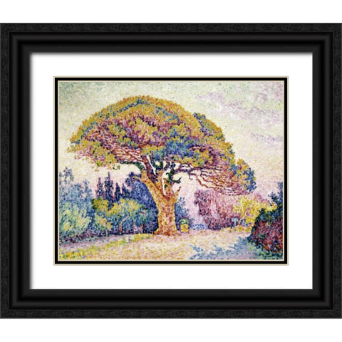 Pine Tree In St. Tropez Black Ornate Wood Framed Art Print with Double Matting by Signac, Paul
