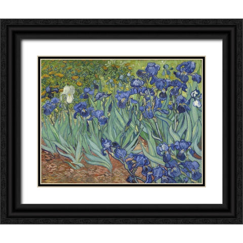 Irises, 1889 Black Ornate Wood Framed Art Print with Double Matting by Van Gogh, Vincent