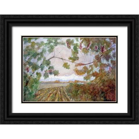 Amongst the Vineyards Black Ornate Wood Framed Art Print with Double Matting by Audivert, Eduardo