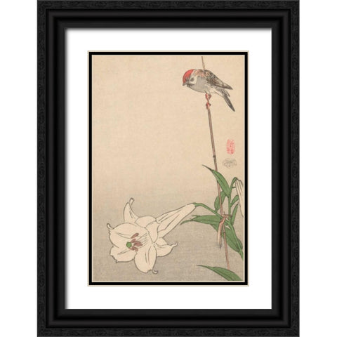 Small bird on lily plant., 1893 Black Ornate Wood Framed Art Print with Double Matting by Baison