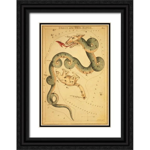Draco and Ursa Minor, 1825 Black Ornate Wood Framed Art Print with Double Matting by Aspin, Jehoshaphat