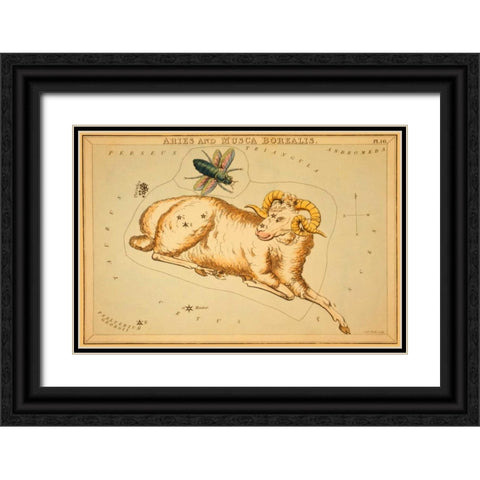 Aries and Musca Borealis, 1825 Black Ornate Wood Framed Art Print with Double Matting by Aspin, Jehoshaphat