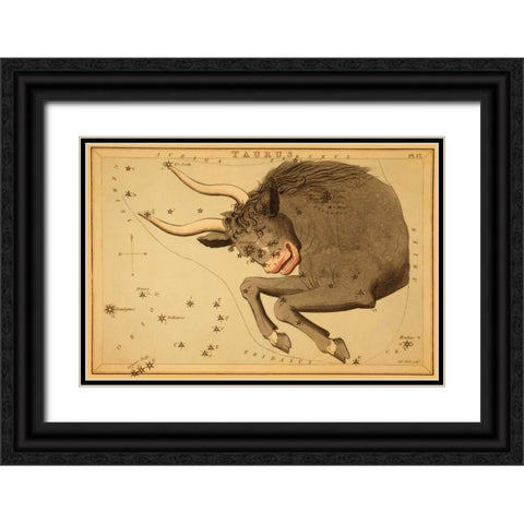 Taurus the Bull, 1825 Black Ornate Wood Framed Art Print with Double Matting by Aspin, Jehoshaphat
