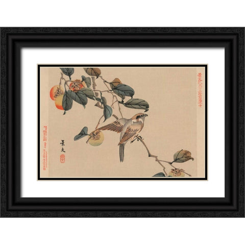 Bird perched on a branch from a fruit persimmon tree., 1892 Black Ornate Wood Framed Art Print with Double Matting by Matsumura, Keibun