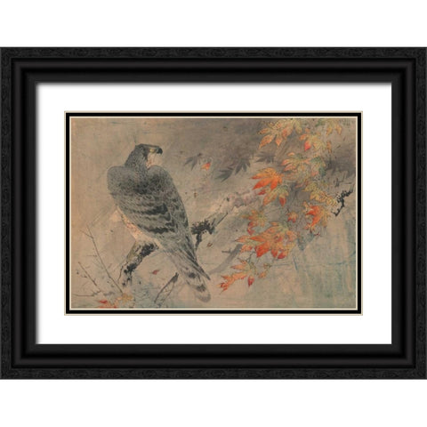 Eagle on a maple branch Black Ornate Wood Framed Art Print with Double Matting by Unknown