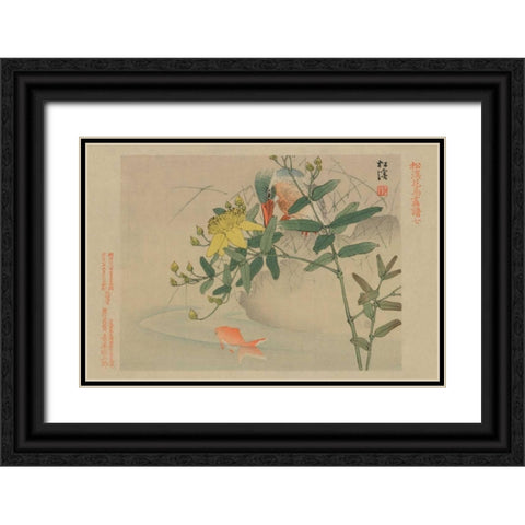 Kingfisher and Goldfish in Pond Black Ornate Wood Framed Art Print with Double Matting by Unknown