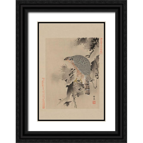Hawk Black Ornate Wood Framed Art Print with Double Matting by Unknown