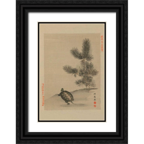Turtle Black Ornate Wood Framed Art Print with Double Matting by Unknown