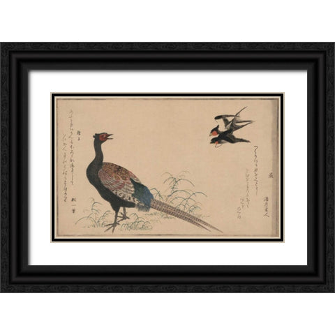 Pheasant Black Ornate Wood Framed Art Print with Double Matting by Unknown