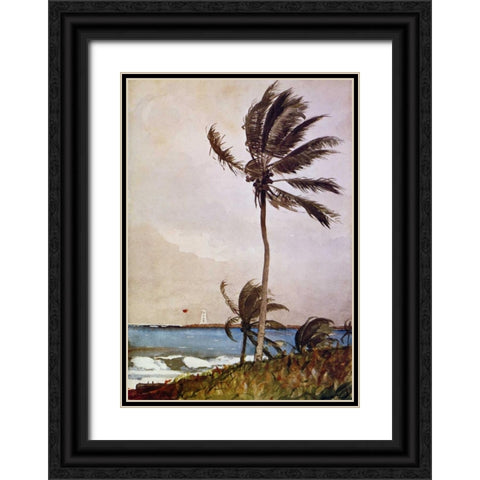 Palm Tree Nassau Black Ornate Wood Framed Art Print with Double Matting by Homer, Winslow