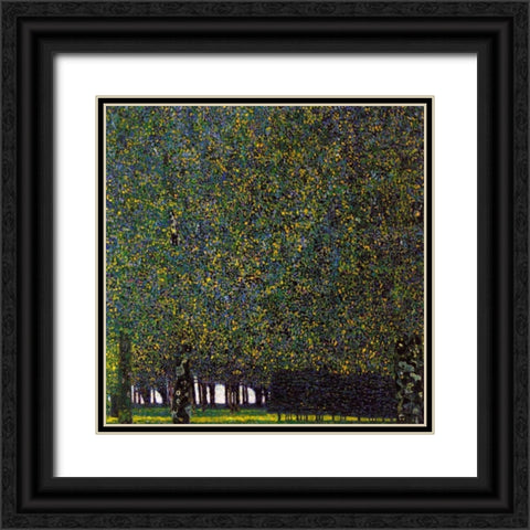 Park Black Ornate Wood Framed Art Print with Double Matting by Klimt, Gustav