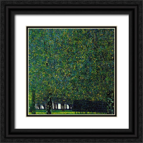 The Park 1910 Black Ornate Wood Framed Art Print with Double Matting by Klimt, Gustav
