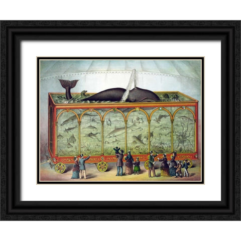Aquarium Black Ornate Wood Framed Art Print with Double Matting by Gibson and Co.