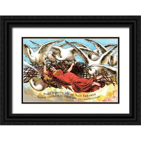 Halls Vegetable Sicillian Hair Renewer Black Ornate Wood Framed Art Print with Double Matting by Advertisement