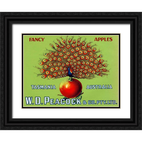 W.D. Peacock Fancy Apples Black Ornate Wood Framed Art Print with Double Matting by Retrolabel
