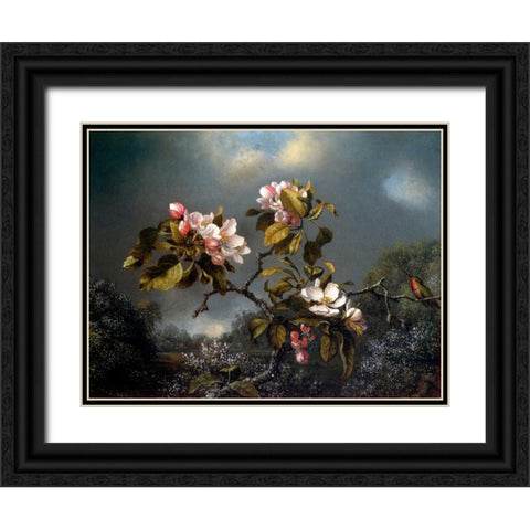Apple Blossom And Hummingbird Black Ornate Wood Framed Art Print with Double Matting by Heade, Martin Johnson