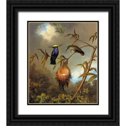 Black Breasted Plovercrest Black Ornate Wood Framed Art Print with Double Matting by Heade, Martin Johnson