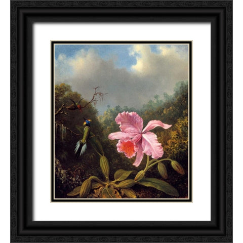 Fighting Hummingbirds With Pink Orchid Black Ornate Wood Framed Art Print with Double Matting by Heade, Martin Johnson