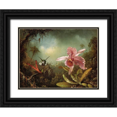 Orchid With Two Hummingbirds Black Ornate Wood Framed Art Print with Double Matting by Heade, Martin Johnson