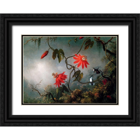 Passion Flowers And Hummingbirds Black Ornate Wood Framed Art Print with Double Matting by Heade, Martin Johnson