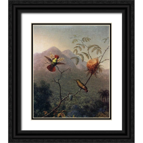 Tufted Coquette Black Ornate Wood Framed Art Print with Double Matting by Heade, Martin Johnson