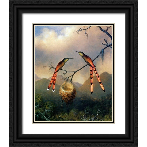 Two Hummingbirds With Their Young Black Ornate Wood Framed Art Print with Double Matting by Heade, Martin Johnson