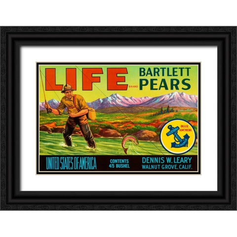 Life Brand Bartlett Pears Black Ornate Wood Framed Art Print with Double Matting by Retrolabel