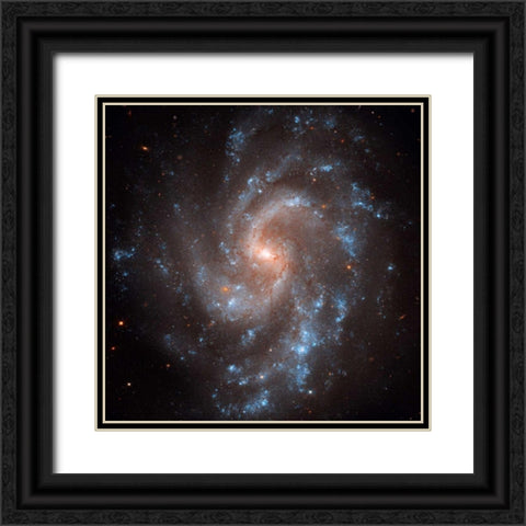 NGC 5584 Black Ornate Wood Framed Art Print with Double Matting by NASA