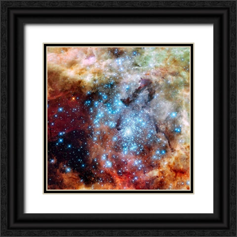 Merging Clusters in 30 Doradus Black Ornate Wood Framed Art Print with Double Matting by NASA