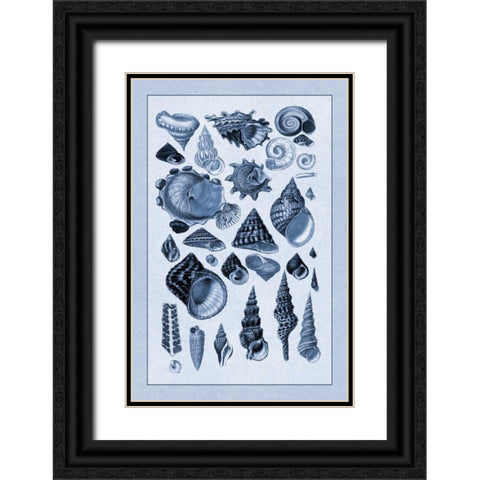 Shells: Trachelipoda #3 (Blue) Black Ornate Wood Framed Art Print with Double Matting by Sowerby, G.B.