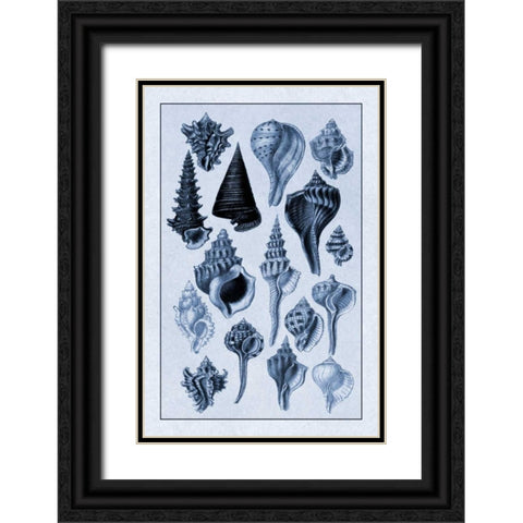 Shells: Trachelipoda #4 (Blue) Black Ornate Wood Framed Art Print with Double Matting by Sowerby, G.B.