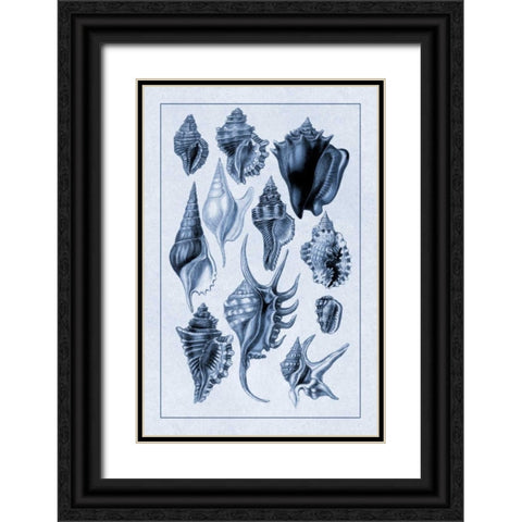 Shells: Trachelipoda #5 (Blue) Black Ornate Wood Framed Art Print with Double Matting by Sowerby, G.B.